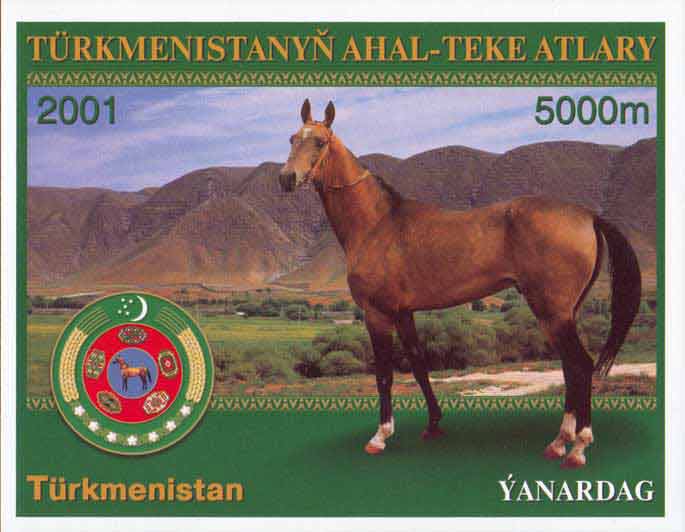 Akhal-Teke Horses.