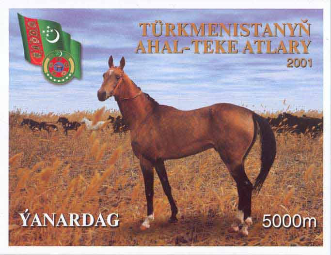 Akhal-Teke Horses.